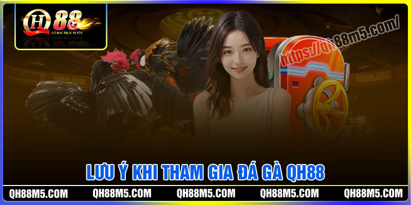 Lưu ý khi tham gia Đá gà QH88 cho người mới