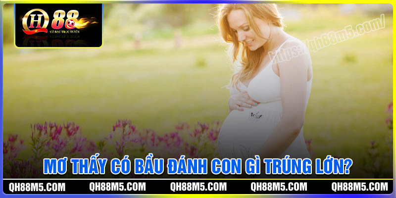 Nằm mơ thấy có bầu nên đánh con gì?